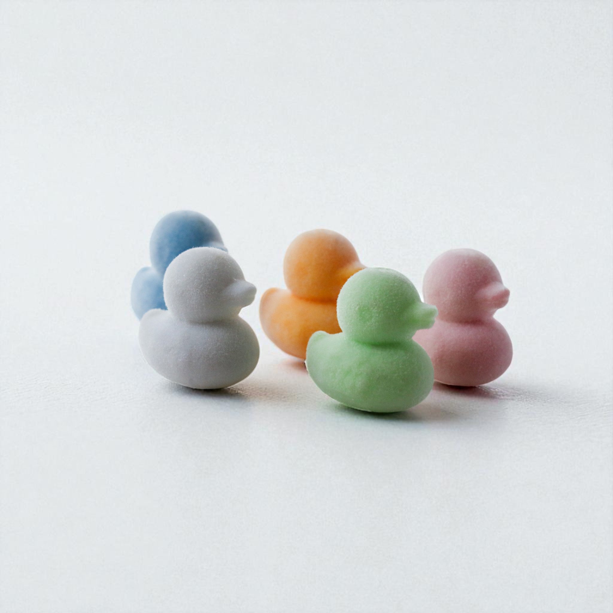 Fluffy Duck Charm