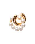 Freshwater Donut