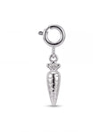 Carrot Charm