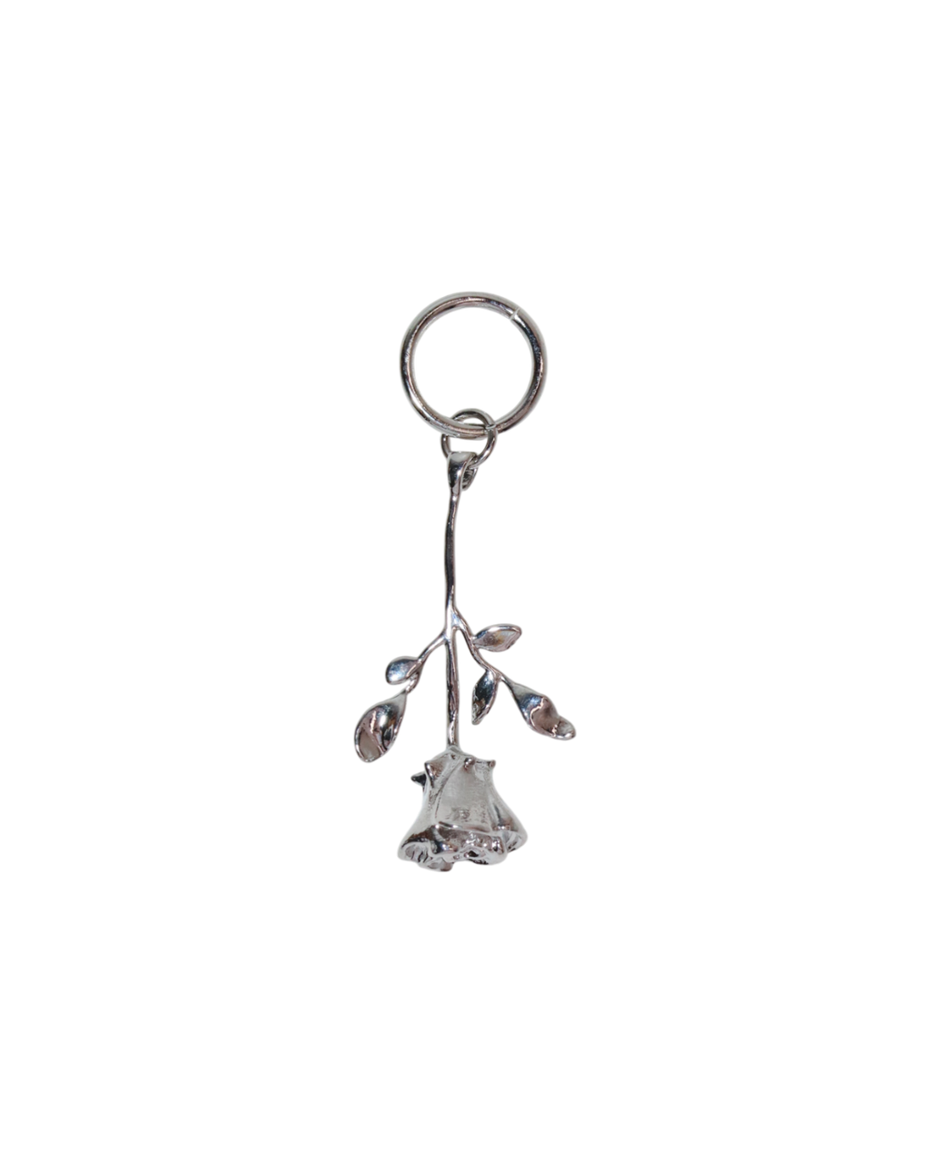 Silver Rose