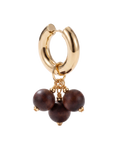 Clove