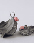 Shell Blush